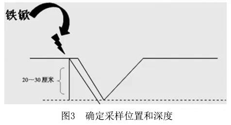 确定采样位置和深度