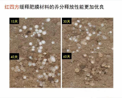 老司机视频在线观看缓释肥膜材料养分释放性更优良