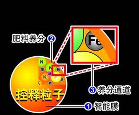 控释肥料肥效释放原理图